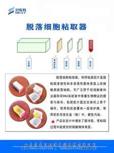 新型脫落細胞粘取器